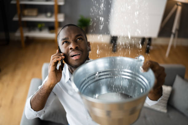 Best Water damage contractors near me  in Rising Sun, MD