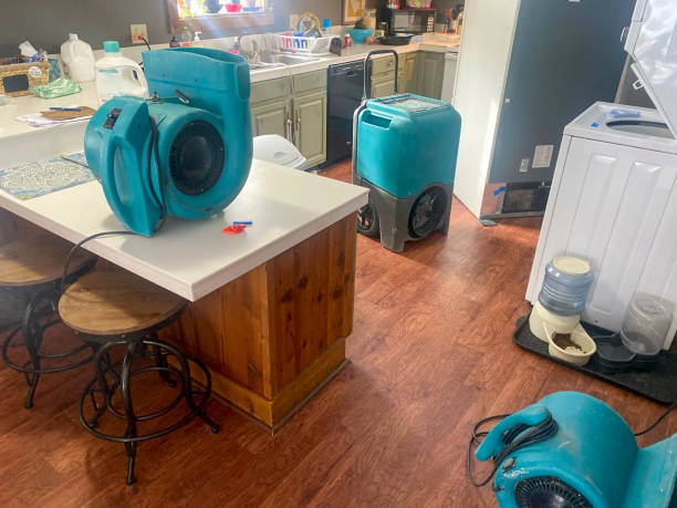 Best Professional water damage repair  in Rising Sun, MD