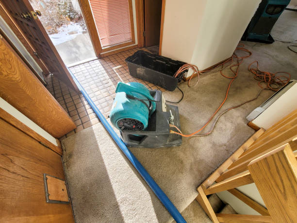 Best Water damage restoration insurance claims  in Rising Sun, MD