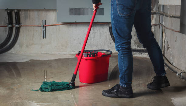 Best Water damage restoration near me  in Rising Sun, MD