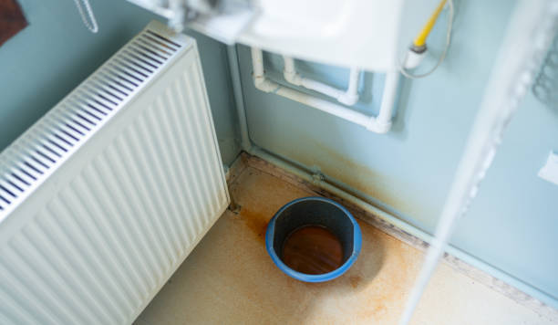 Best Basement water damage restoration  in Rising Sun, MD